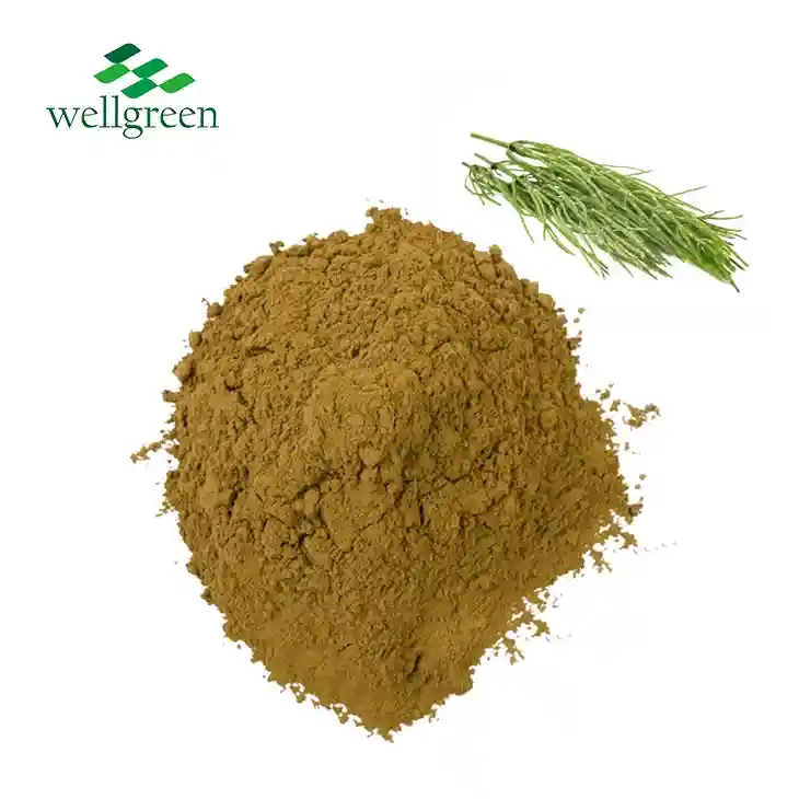 Equisetum Arvense Extract